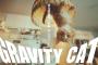 重力猫『グラビティデイズ2』乃木坂46・伊藤万理華出演「重力的眩暈子猫編」が公開！