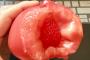 海外「食べちゃダメだろw」→中国の学生、中にイチゴが入った奇形トマトを発見www