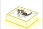 漫画「チーズスイートホーム」のアニメ「こねこのチー」が猫のいる日常に共感できるとフランスで大人気（画像あり）