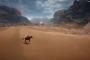 「バトルフィールド1」オープベータ目前！シナイ砂漠でのゲームプレイ映像が大量に公開！