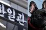 【韓国】ソウルの有名韓国料理店代表が子犬に噛まれて死亡
