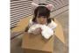 【欅坂46】小池美波が箱にすっぽりと収まる捨て猫みたいな姿を公開！これは反則的に可愛すぎるなｗｗｗ