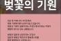 【韓国ネット】 「桜の起源」で議論、激しく対立