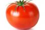 友人が「自作の植木鉢でトマト育ててる♡」って言うから画像開いたら…！