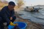 【韓国】背中が曲がったりエラがなかったり…漢江河口に奇形の魚急増