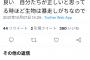 【悲報】阪神ファンさん、ヤクルトファンにマナー悪い悪い言われすぎて遂に逆ギレしてしまう