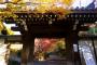 【超驚愕】400年の歴史を持つ京都の寺、『緊急発表』キタァアアアアアーーーーー！！！！！！