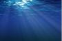 【環境】日本海の海水循環、大幅減…深海生物死滅の恐れ