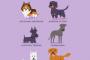 世界の犬を国ごとに分類したイラストが可愛すぎるんだがｗｗｗ