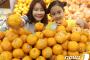 【韓国】糖度が高いゴールドナゲット・オレンジ召し上がれ（写真）