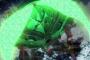 「ガンダムビルドダイバーズ」 第12話 超巨体ビグザムと総力戦！ダブルオーダイバーが真の力を解放！