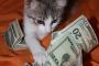 猫『お金♪お金♪お金♪』