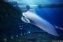 大型エイ形の潜水艦やウナギ形の探査船、イギリス海軍が50年後を予測（画像あり）！