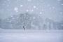 【試される大地】北海道で今世紀最多の雪　最高記録を更新ｗｗｗｗｗｗｗｗｗｗｗｗｗｗ
