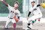 【阪神】ドラ１指名　小園、森木ら投手５人　評価が急上昇の大学生左腕も