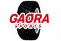 GAORA、2018インディカーシリーズ全17戦を生中継中心に放送決定！開幕戦は生中継