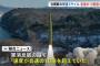 北朝鮮が14日に発射の弾道ミサイル、速度が音速の10倍超えて飛行…韓国メディア報道！