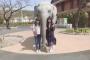 SKE48市野成美と福士奈央が東山動物園に行ったら！！！
