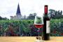 日本が欧州産ワインの関税撤廃へ（海外の反応）