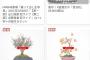 【朗報】NMB48オフィシャルショップ、山本彩加の盆栽が全品完売ｗｗｗ
