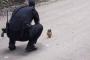 【悲報】警察さん、仕事中に鳥とにらめっこしてしまう…
