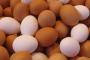 1日に2個以上卵を食べたらカラダに毒ってほんまなん？