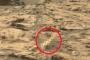 【朗報】NASAが撮影した火星に生物らしきものが映る（画像あり）