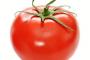 【挑戦】月に10万円貰える代わりに1日一回トマトを一個生で食べないといけないｗｗｗｗｗｗｗｗｗｗｗ
