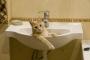【納得】猫がエサ置き場の水を飲まずにわざわざ風呂場の水を飲んでいた理由、解明される（画像あり）