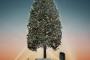 【世論】神戸の「世界一のクリスマスツリー」は何故批判されたのか？？？ 	