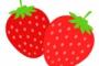 【悲報】カーリング女子日本代表「韓国のイチゴはびっくりするぐらいおいしくてお気に入りでした」
