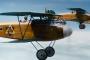 第1次世界大戦のドイツ帝国軍の撃墜王「レッド・バロン」を落としたのはオーストラリア兵か！