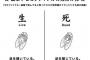 【恒例】今年もセミの季節がやってまいりましたね。セミが死んでるかどうかの見分け方をおさらいしましょう