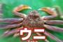 【悲報】暑さのせいでオッサンが意味不明なことを怒鳴るｗｗｗｗｗｗ