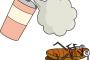 【閲覧注意】なぜゴキちゃんだけが､こんなに嫌われるのか