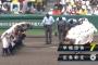 【甲子園】広島新庄、早稲田実業に激戦の末１点差で惜敗　両校投手４人を注ぎ込む総力戦、機動力野球で一時は逆転するもあと一歩及ばず【広島新庄６対７早稲田実業】