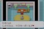 エリクサーとかマスターボールを結局最後まで使わない奴ｗｗｗｗｗｗｗ