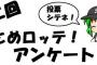 【CS進出記念】第二回 まとめロッテ！アンケート