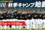 ロッテ、秋季キャンプ参加メンバー発表！