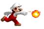 マリオのファイアフラワーって丸いのとチューリップみたいなのがあるけど…