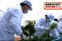 陸上自衛隊松本駐屯地で、隊員らが野沢菜漬けの漬け込み作業を体験！