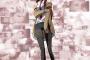 シュタゲの楽曲を網羅した「The Sound of STEINS;GATE 魂」が予約開始！新規ドラマCDも付属！