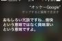【画像】　Siriに「OK Google」と言い続けるとだんだんイライラし始めるから気をつけろ