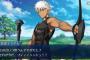 【Fate/Grand Order】アーチャークラスのサーヴァントは性能でそれぞれ個性が出てるのがいいよね