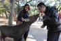 【奈良公園】「狂犬病が怖い」鹿に噛まれ中国人パニック・・・外国人急増で奈良公園の鹿がらみ「人身事故」過去最高に