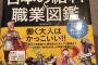 【画像】日本の給料&職業図鑑