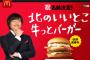 マクドナルドの“名前募集バーガー”名称決定「北のいいとこ牛（ぎゅ）っとバーガー」