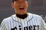 金本監督「矢野が岡崎太一（32）を評価してる。打てれば正捕手じゃない？」」