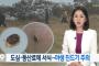 韓国人「野生のダニに注意！韓国都心の近隣の登山路にも生息」→「微細ホコリ、放射能、地震、ジカ蚊、殺人ダニ、長寿スズメバチ、どうしてこんなのが増えているの？」