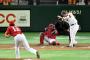 日刊スポーツ「オッス、オラ勇人！広島、おめえ強そうだな。よ～し、棒よ伸びろ～！」